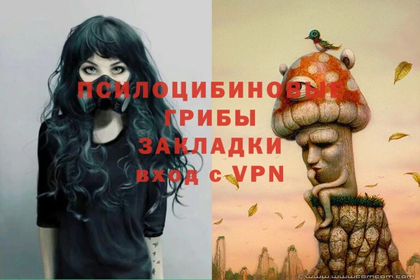 хмурый Навашино
