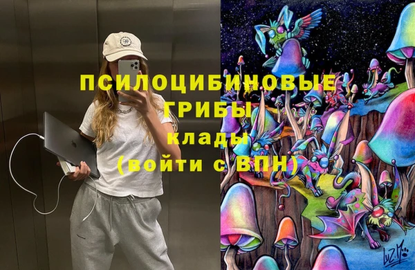 spice Михайловка